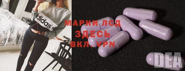 гидра Ельня