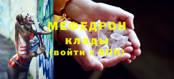 гидра Ельня