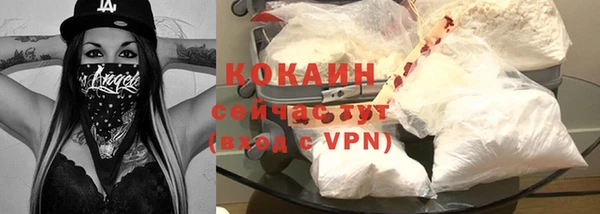 крисы Елизово