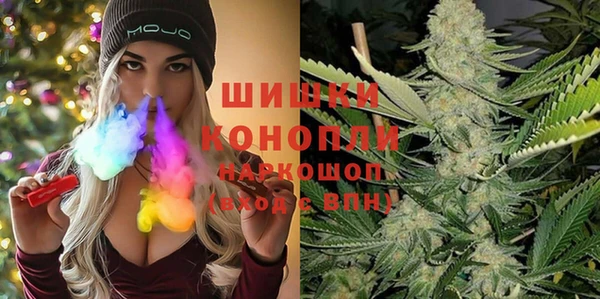 гидра Ельня