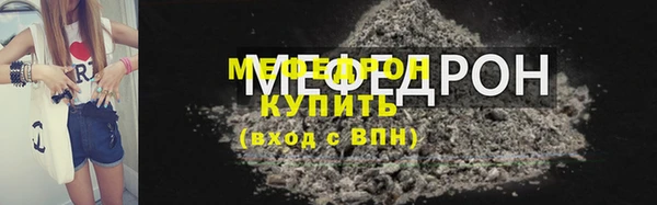 гидра Ельня
