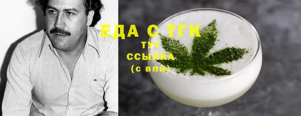 гидра Ельня