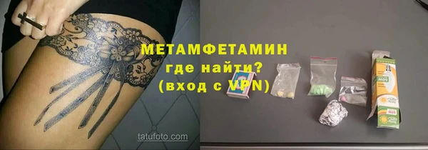 гидра Ельня