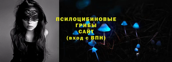 гидра Ельня