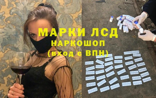 гидра Ельня