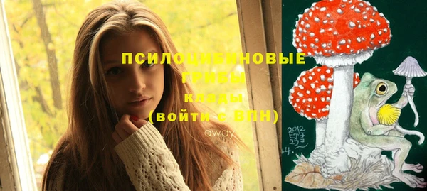 крисы Елизово