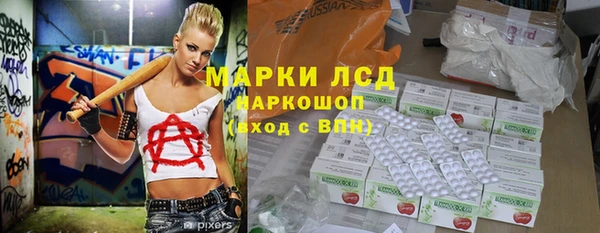 гидра Ельня
