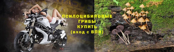 гидра Ельня