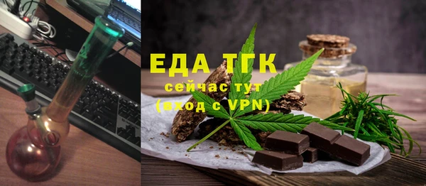 гидра Ельня