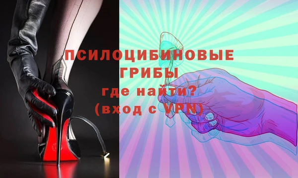 крисы Елизово