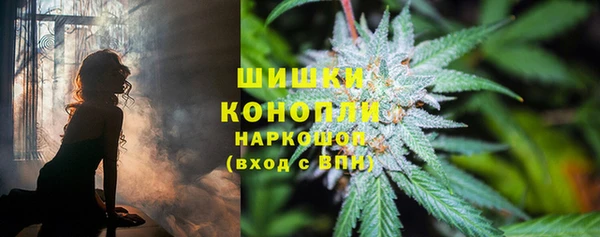 гашик Елабуга