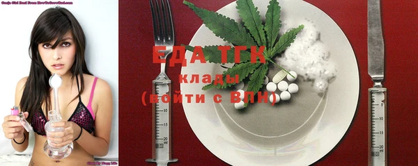 гидра Ельня